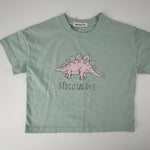 Mint green kids t-shirt with stegosaurus dinosaur graphic