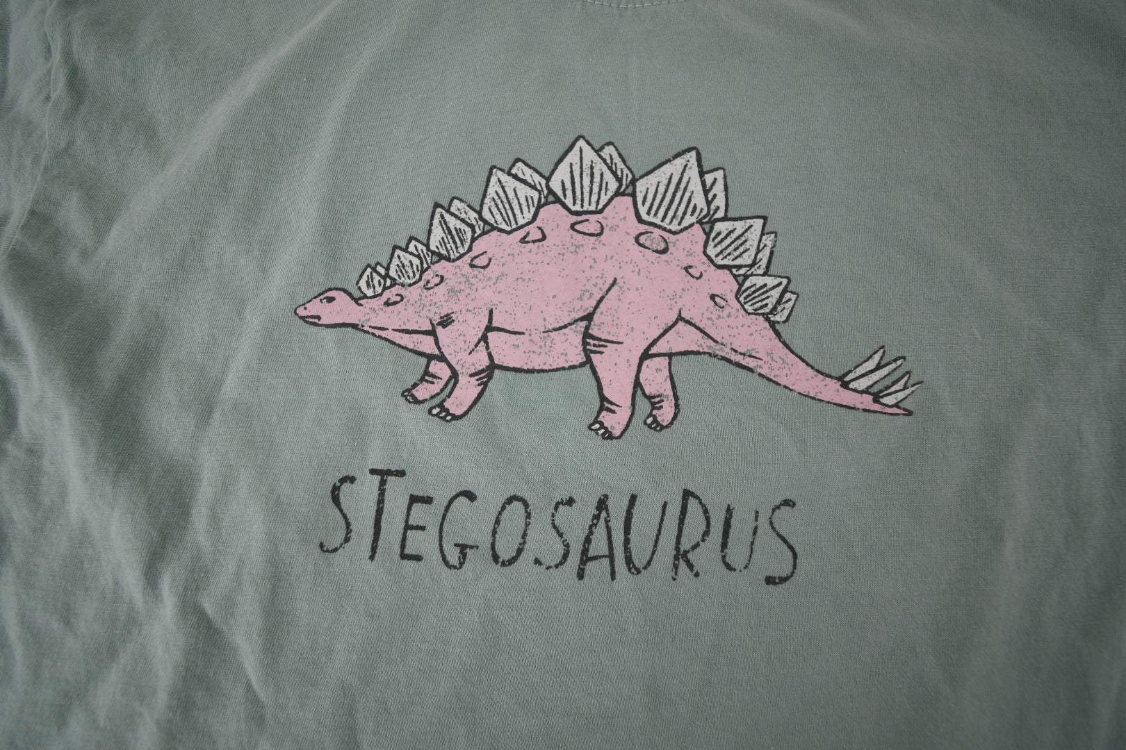 Mint green kids t-shirt with stegosaurus dinosaur graphic